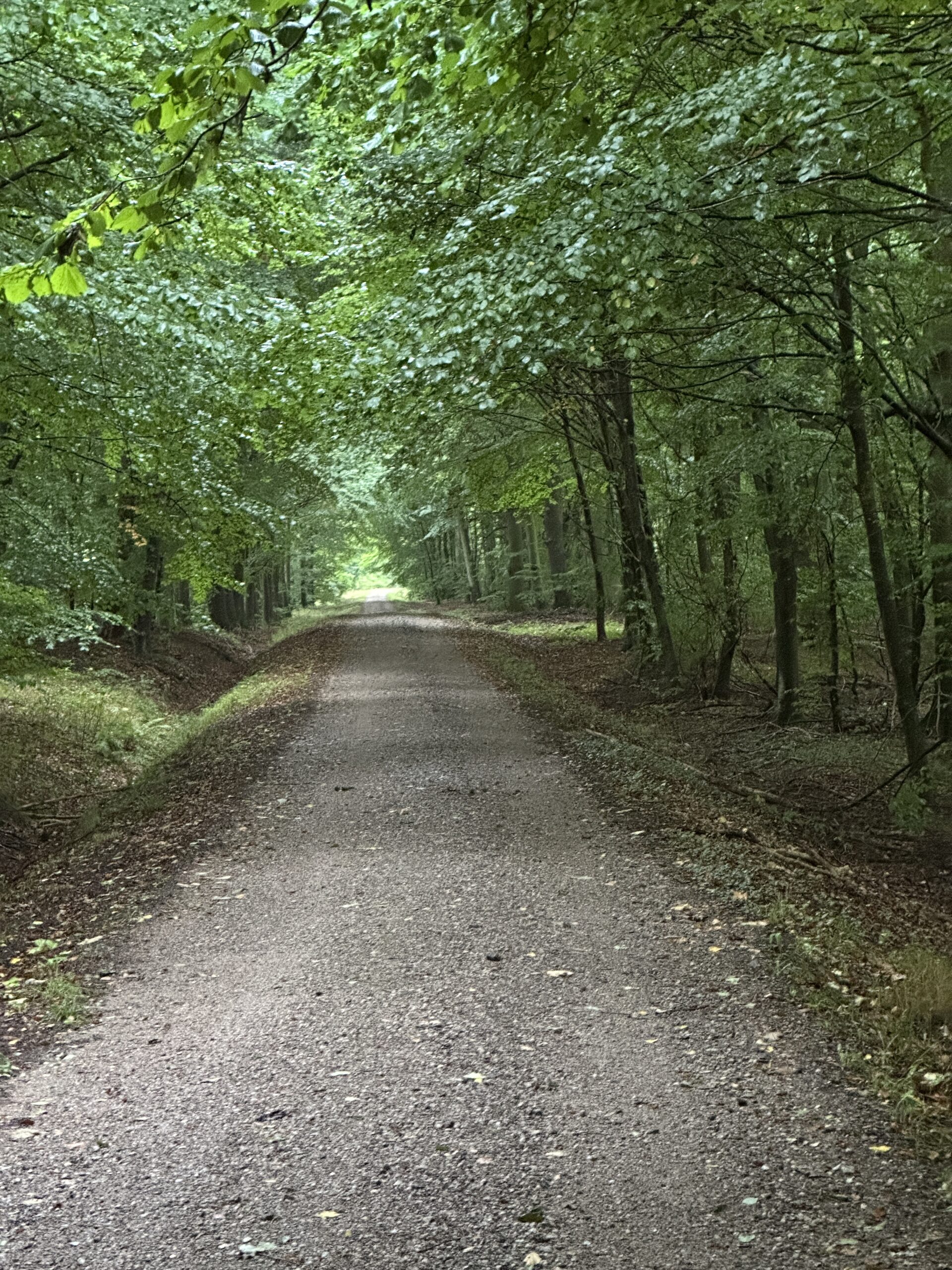 Styrer du dine følelser eller styrer dine følelser dig?