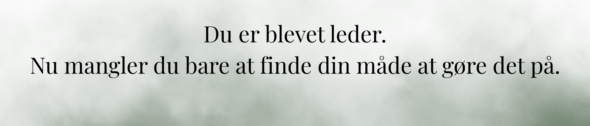 Kursus: Den nye leder, fra fagperson til leder | Coaching for ledere og medarbejdere lederkursus for nye ledere i